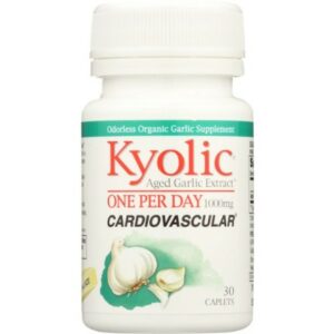 KYOLIC Day Cardiovascular